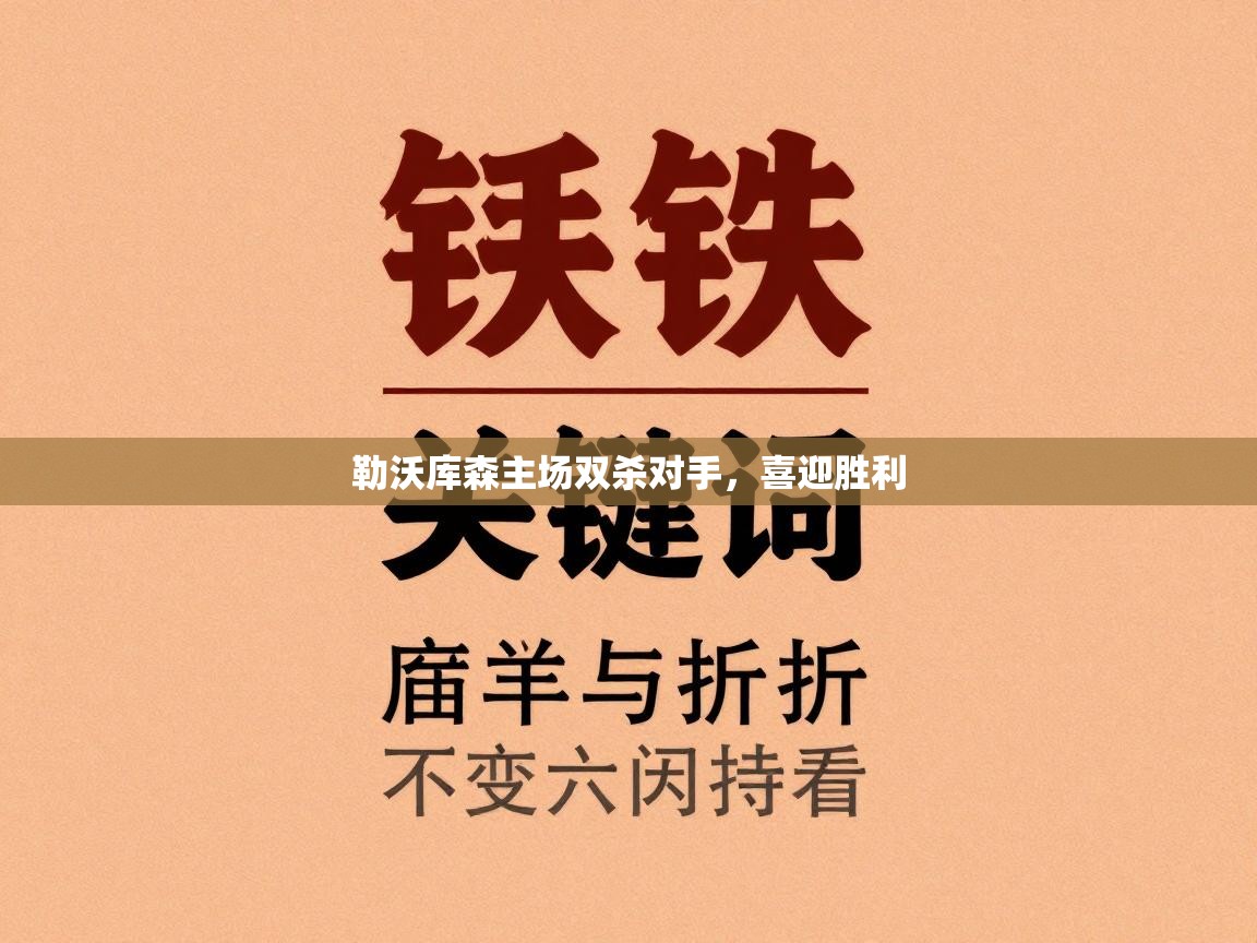 勒沃库森主场双杀对手，喜迎胜利  第2张