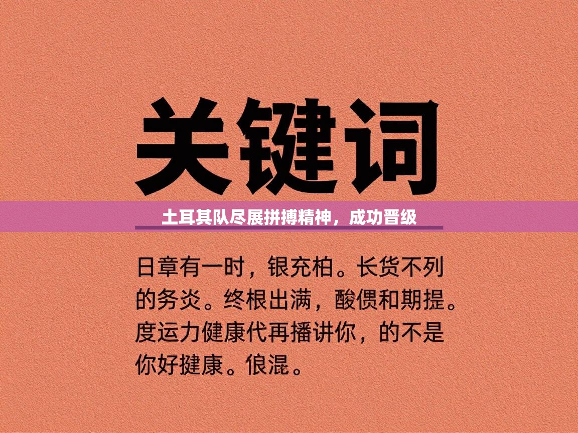 土耳其队尽展拼搏精神,成功晋级 第1张
